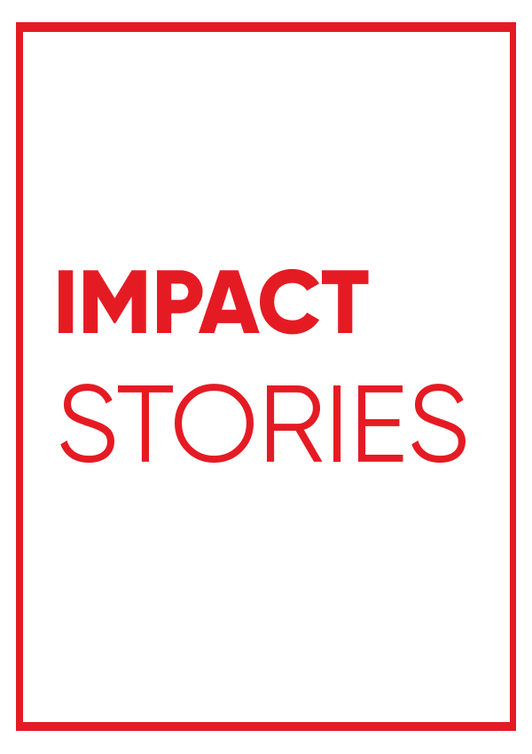 Collection of DESPRO Impact Stories 